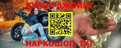 крисы Малгобек