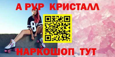 крисы Малгобек