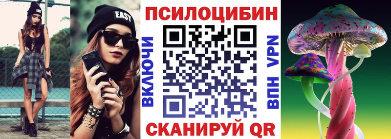 Псилоцибиновые грибы мухоморы  купить закладку  Верхняя Пышма 